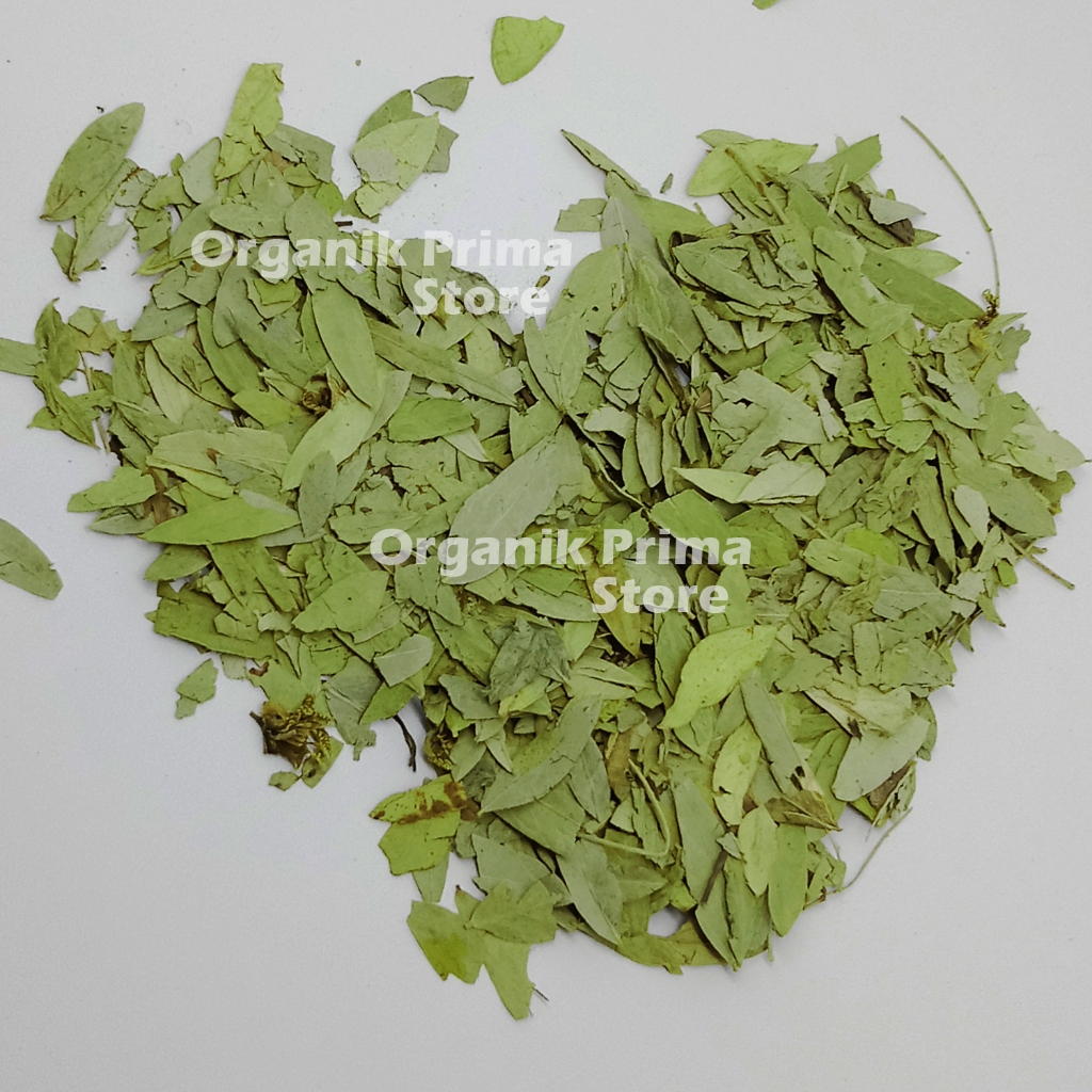 

Daun Jati Cina Kering 500gr Asli Bersih dan Organik
