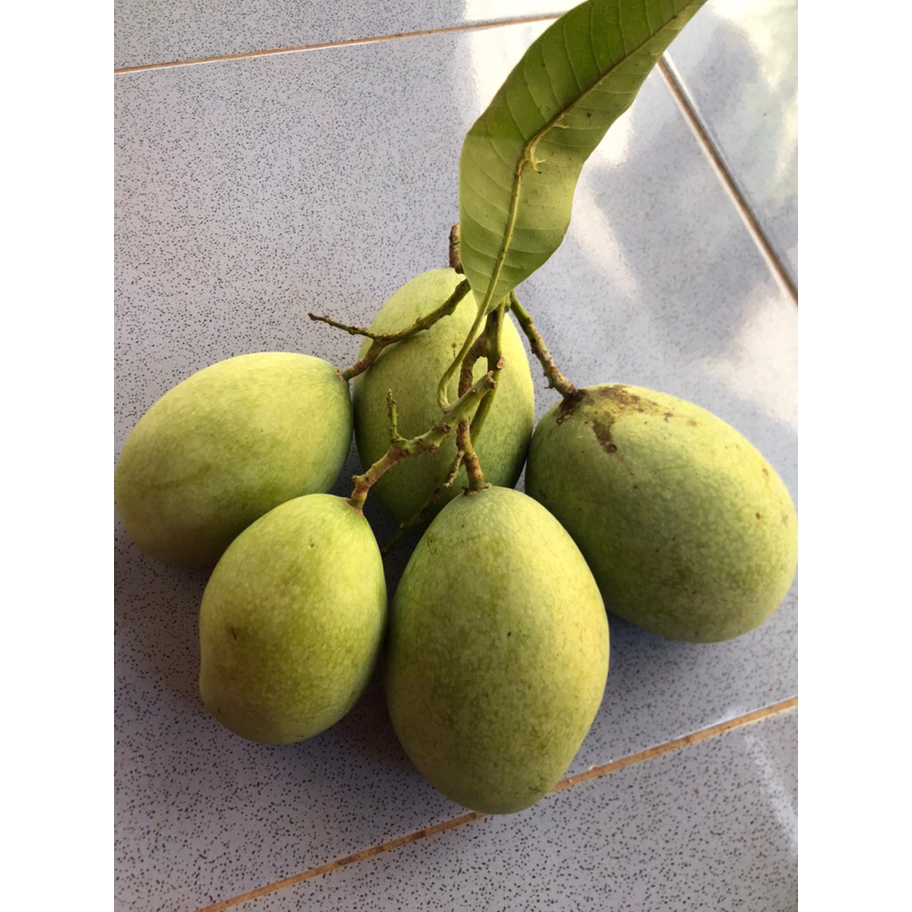 

Mangga Manalagi