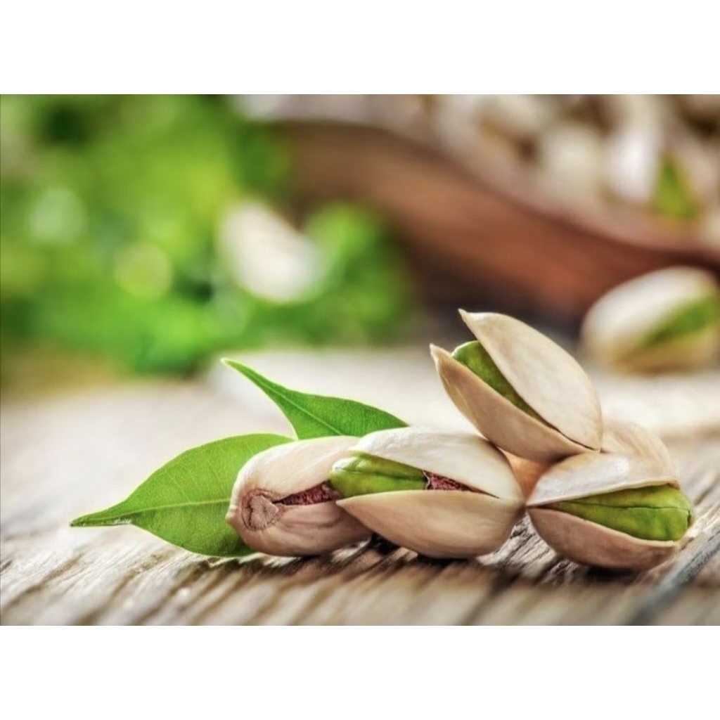 

kacang pistachio kemasan 500g-1kg premium