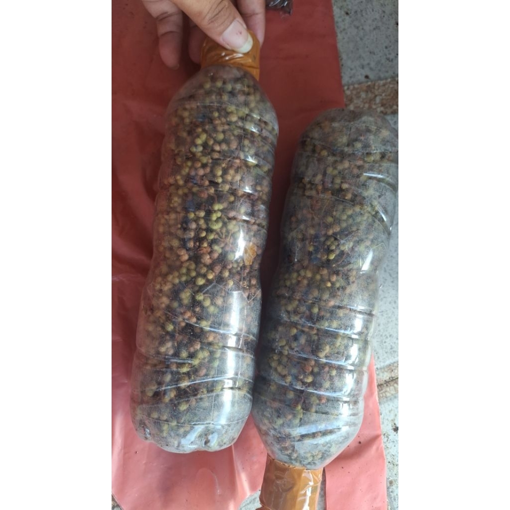 

andaliman medan 100 ons