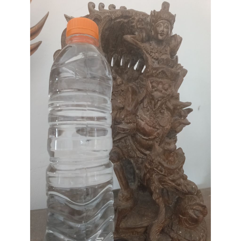 

Air Kelapa Hijau Untuk Sesajen Kerdusan