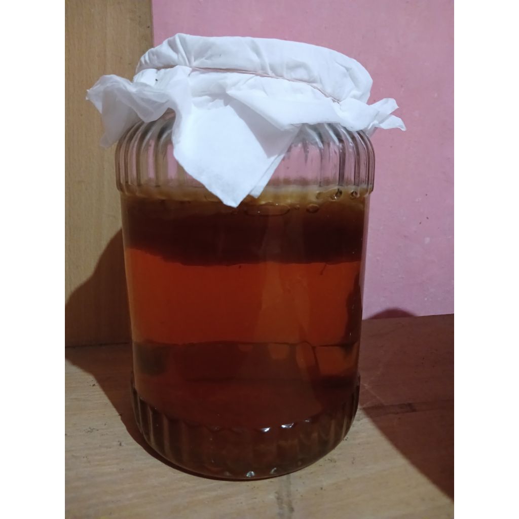

SCOBY KOMBUCHA