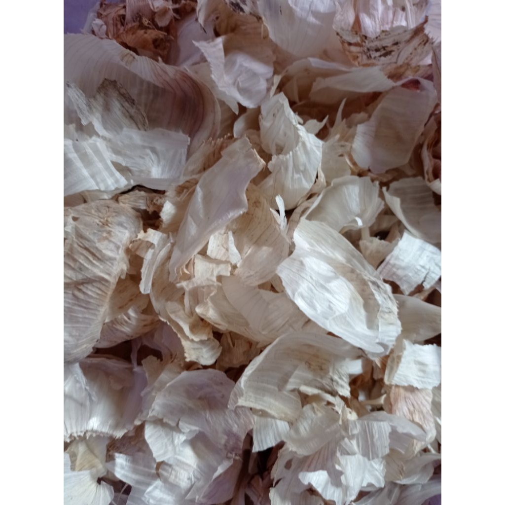 

Kulit bawang putih kering 100gr