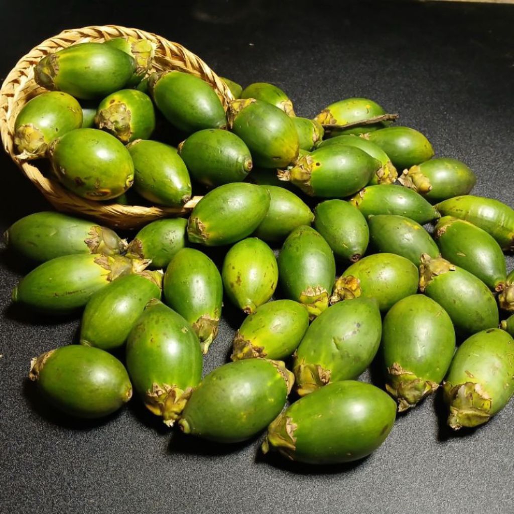 

Buah Pinang Muda Buah Jambe Muda Satuan Segar Harga Termurah