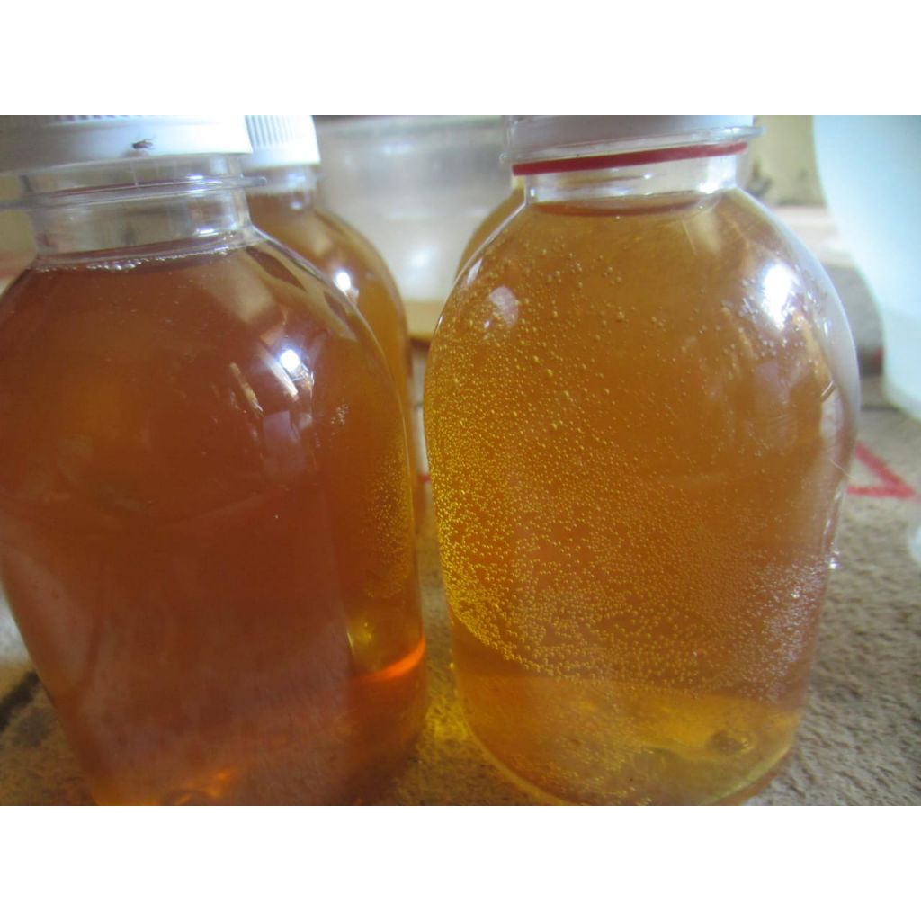 

kombucha/minumanprobiotik/minumanfrrmentasi