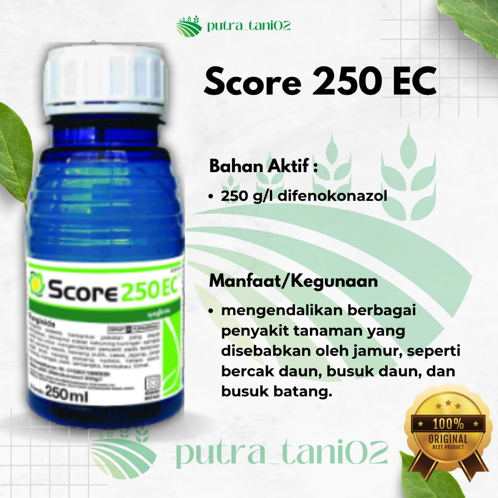 Score 250 EC Fungisida Score Bahan Aktif Difenokonazol + ZPT