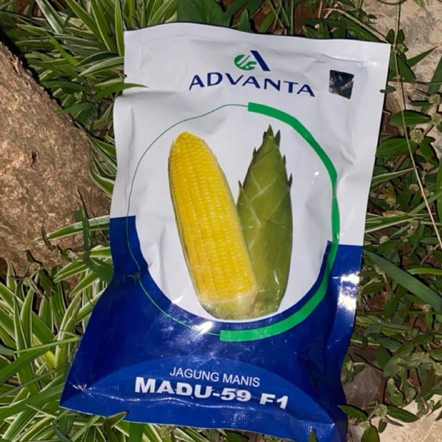 

Advanta - Benih Jagung Manis 250gr / Madu - 59 F1