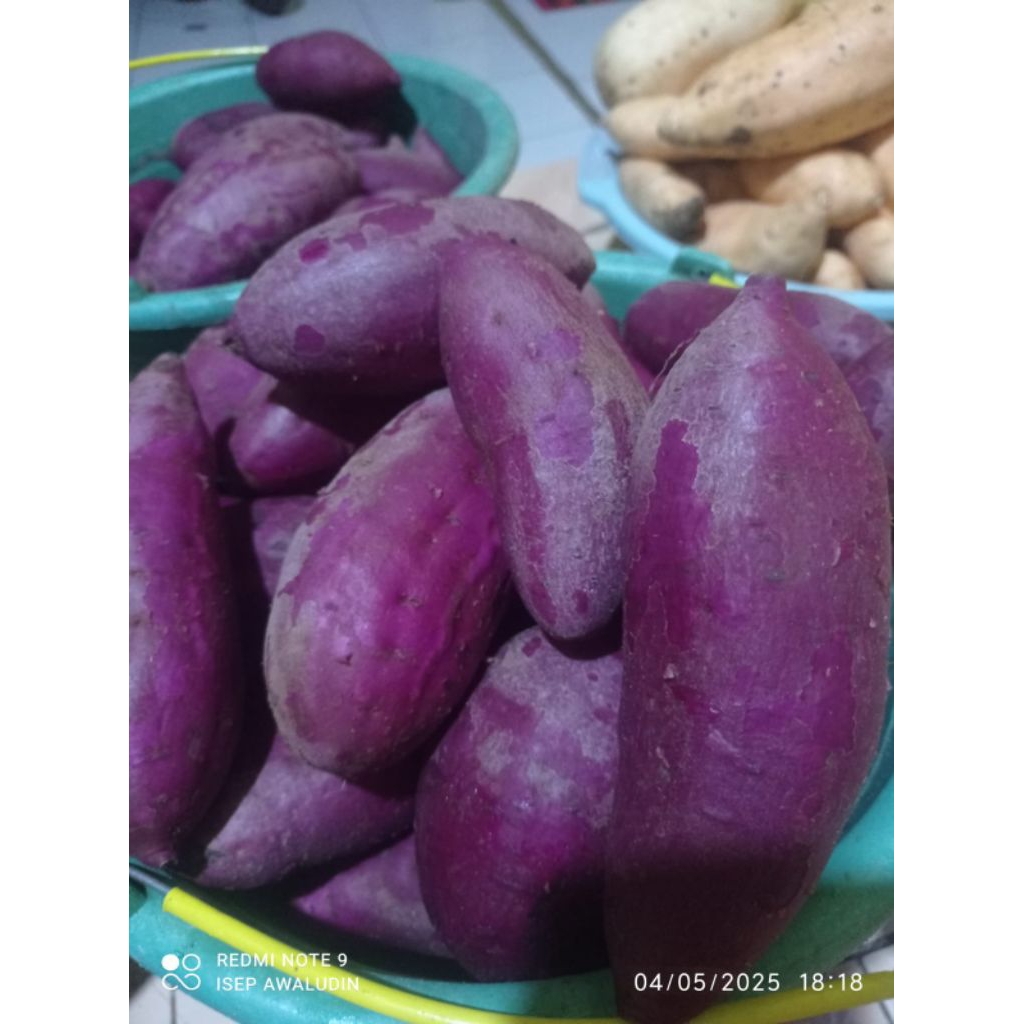 

ubi ungu super fresh&maniss 1kg