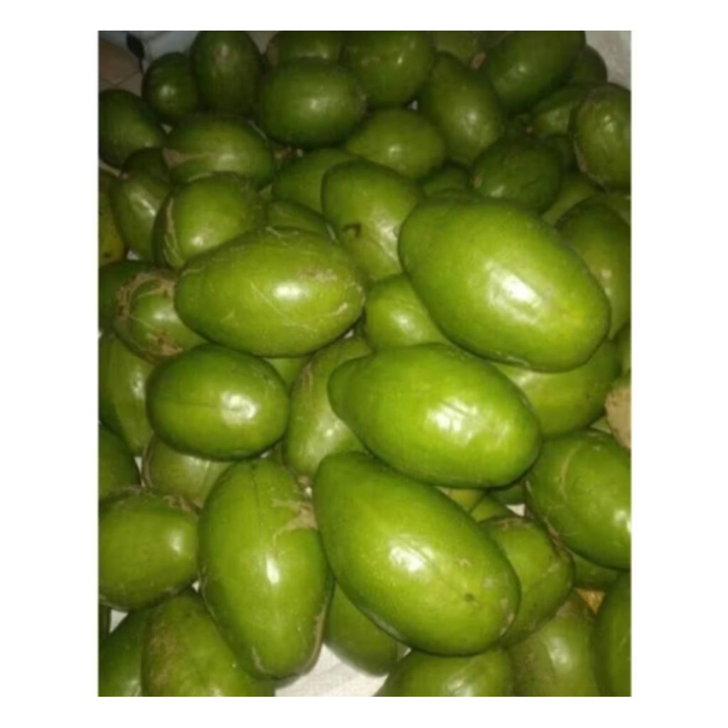 

Buah Kedondong/Dondong Fresh 1kg