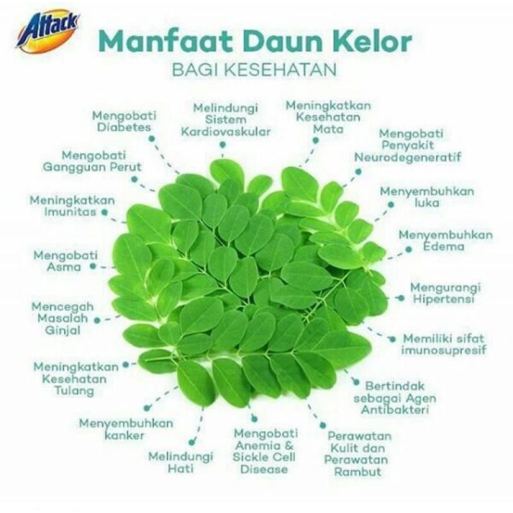 

daun kelor kering 100 gram/ herbal /obat herbal