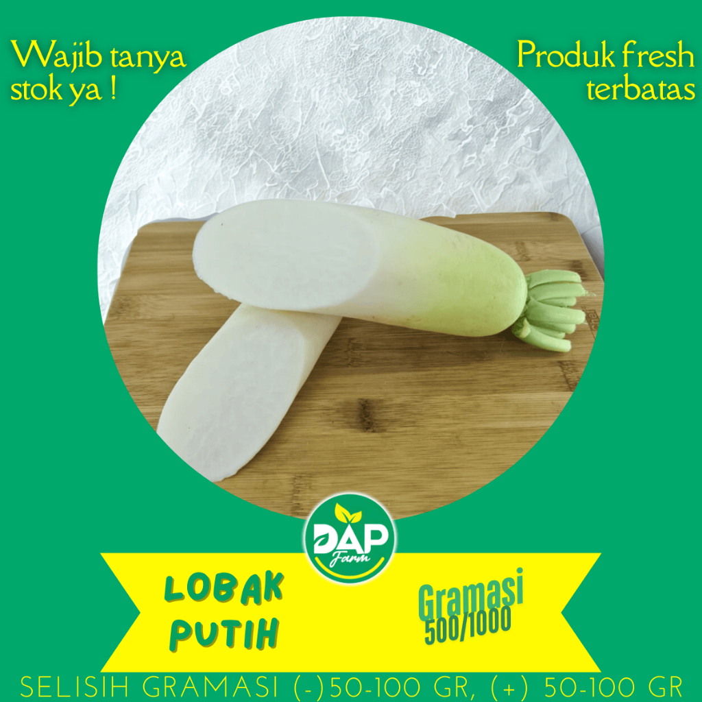 

Lobak Putih / Daikon / DAP / Sayur Jakarta