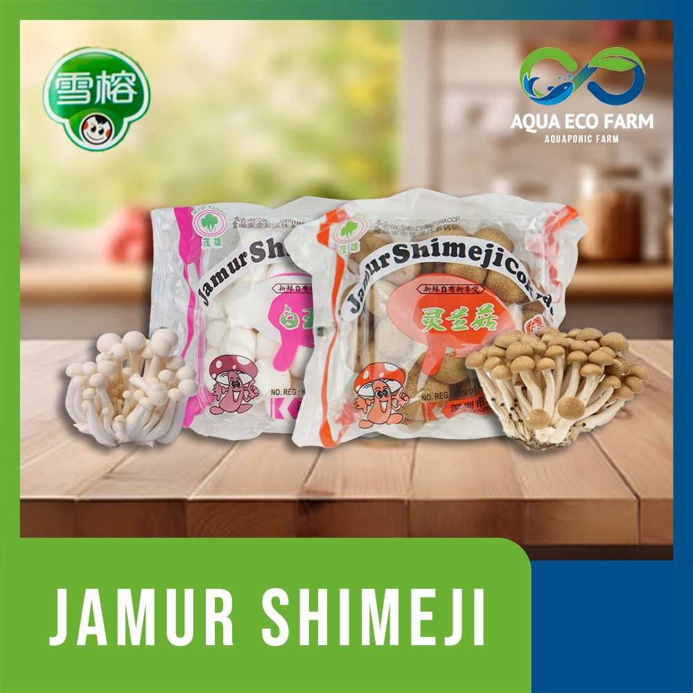 

[AquaEcoFarm] Jamur Shimeji Putih & Coklat 150gr – Segar & Siap Masak | Bandung