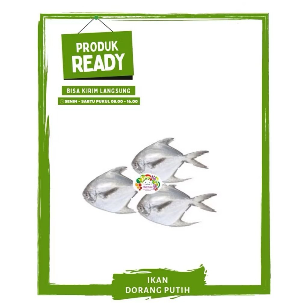 

Dorang Putih / Bawal / Ikan Segar On Mallahrizwa