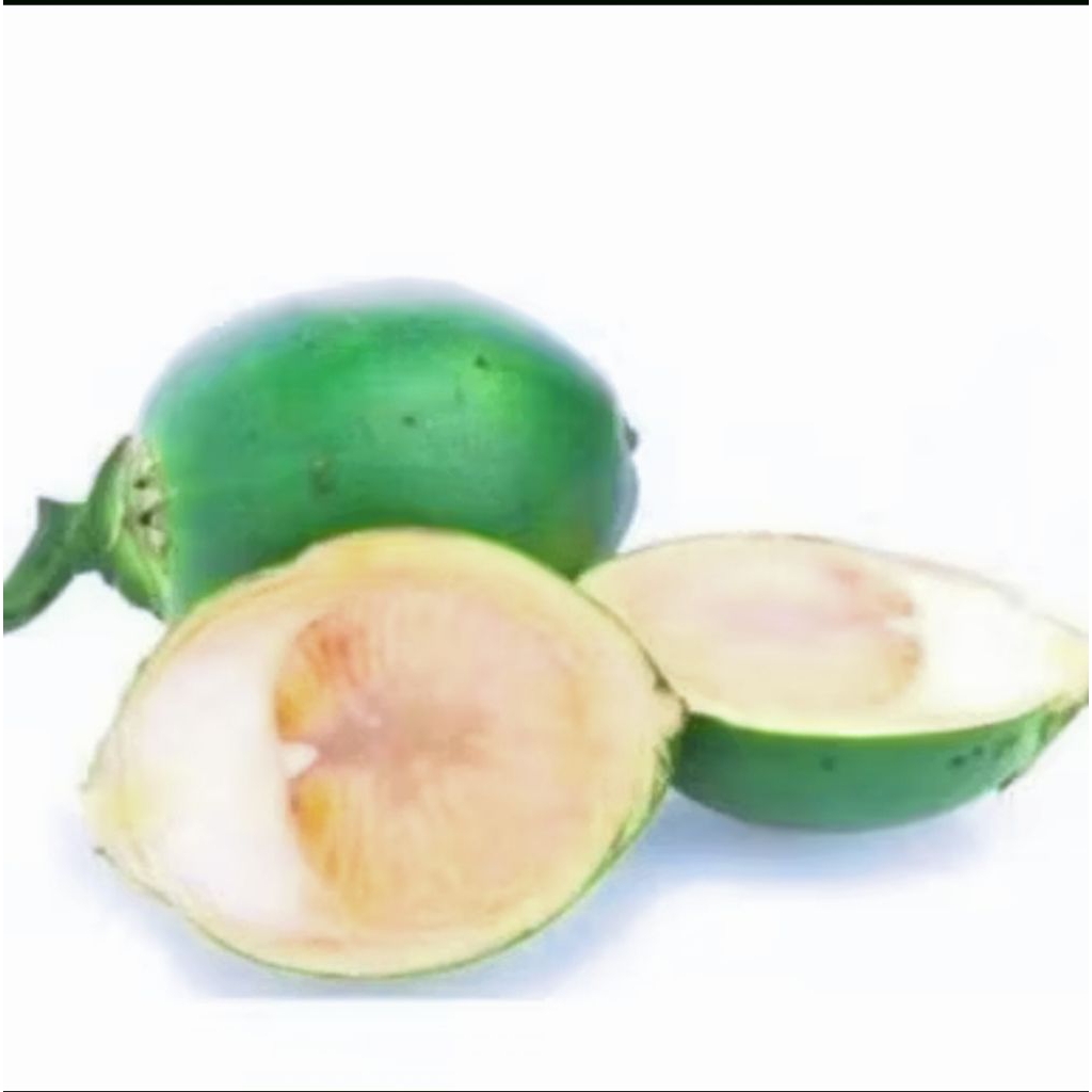 

Buah Pinang Muda Isi 1kg