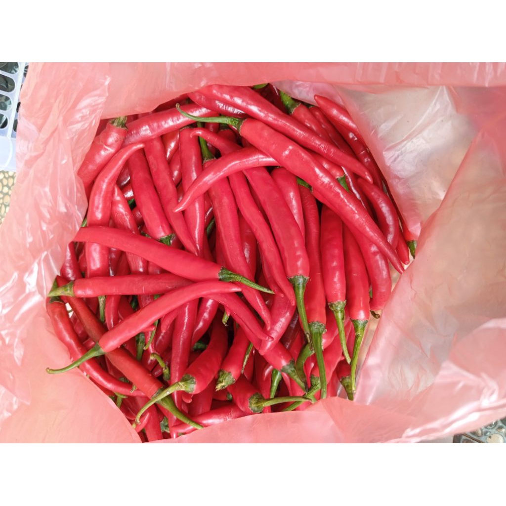 

Cabe merah segar 1 kg