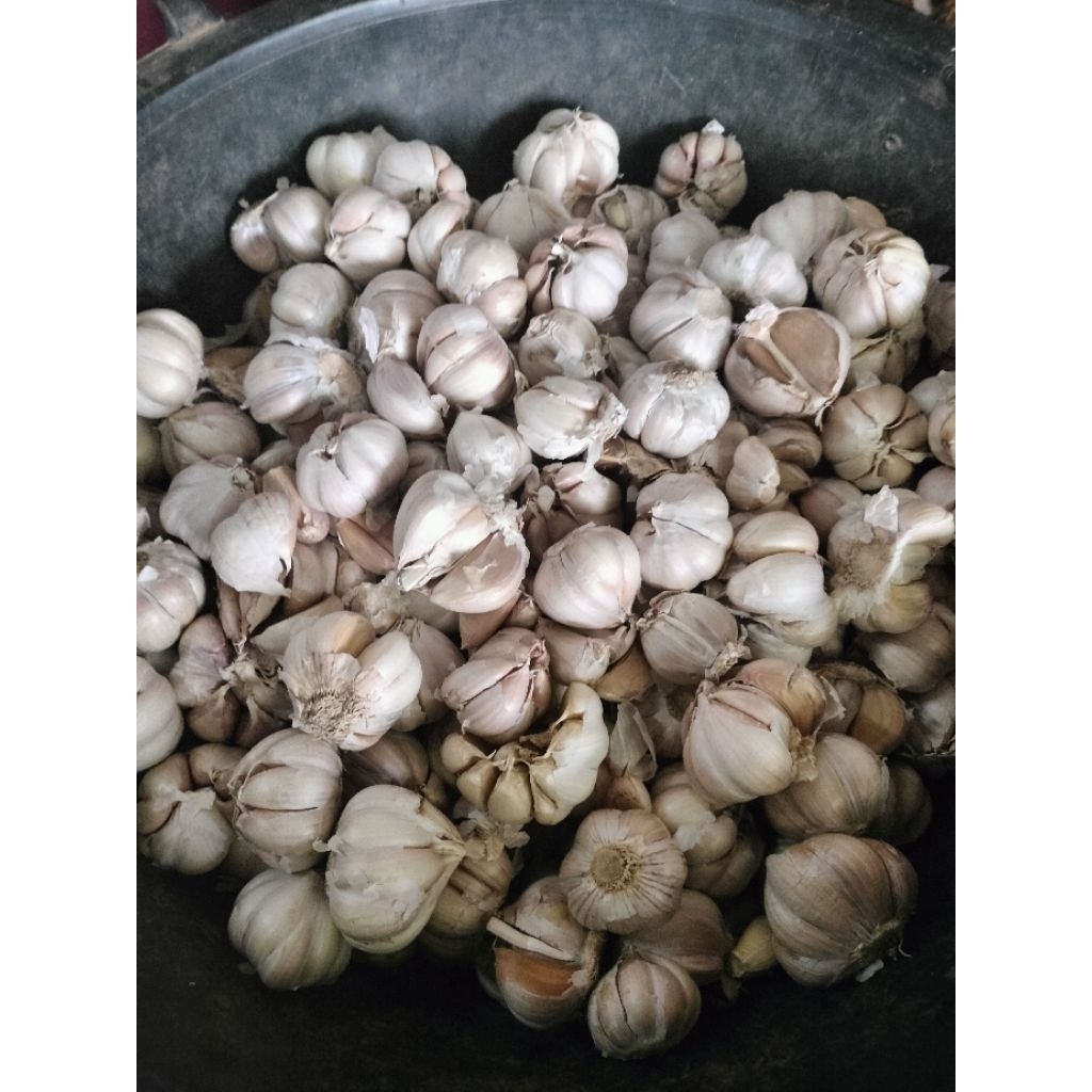 

Bawang putih 1kg