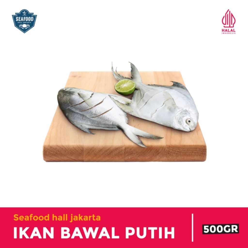 

Ikan Bawal Putih Bersih Siap Masak 500gram/1kg