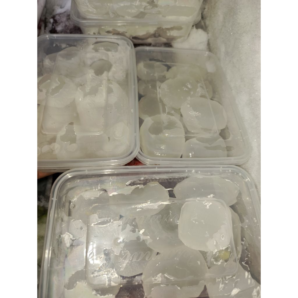 

BUAH LONTAR KUPAS BERSIH FROZEN ISI 10 BUAH | BUAH LONTAR SIWALAN | BUAH SIWALAN | SARI BUAH LONTAR | AIR LEGEN LONTAR | AIR LEGEN