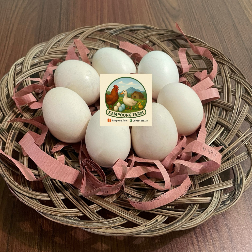 

Kampoong.farm - Telur Ayam Kampung | 10 pcs | Fresh dan berkualitas