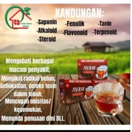 

teh celup herbal olahan dari akar kayu bajakah asli kalimantan