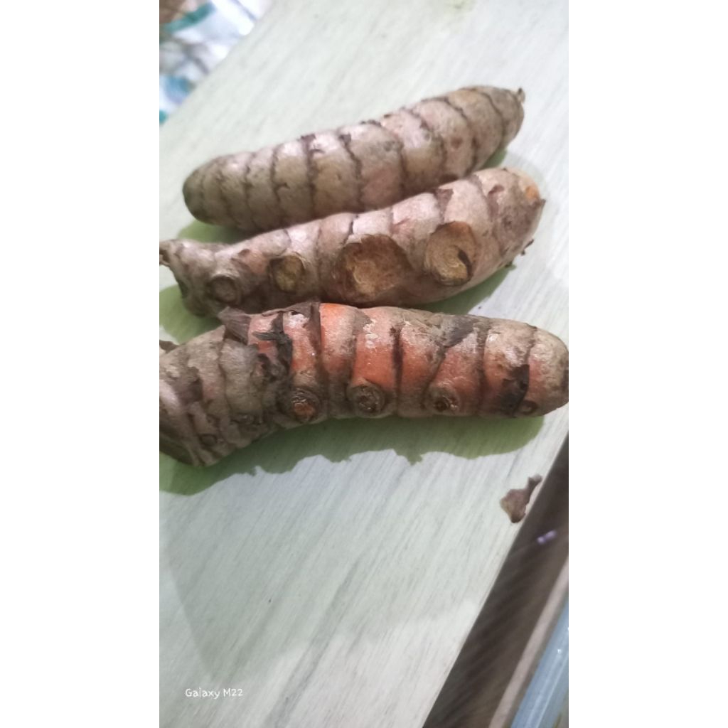 

KUNYIT JAHE KEMIRI KENCUR LENGKUAS SERBA 3000/PACK