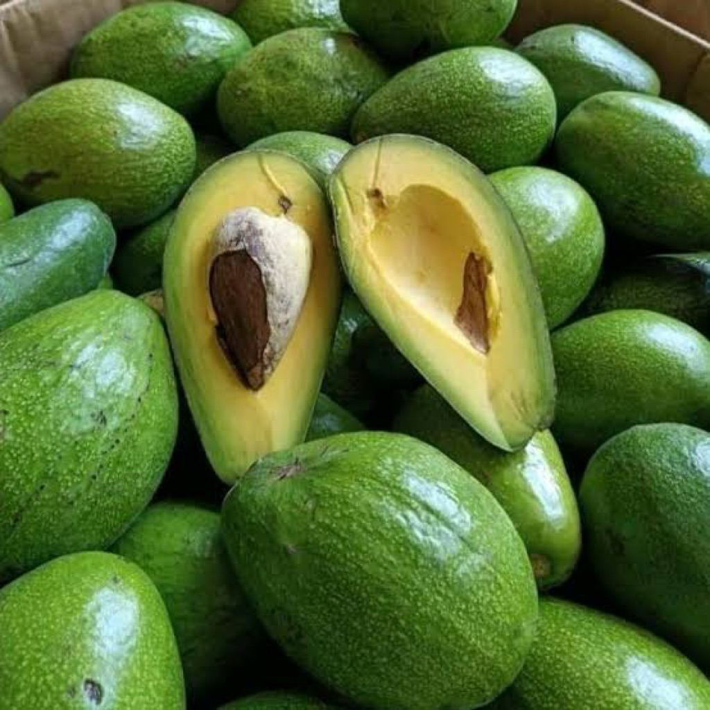

Buah Alpukat Segar 1KG