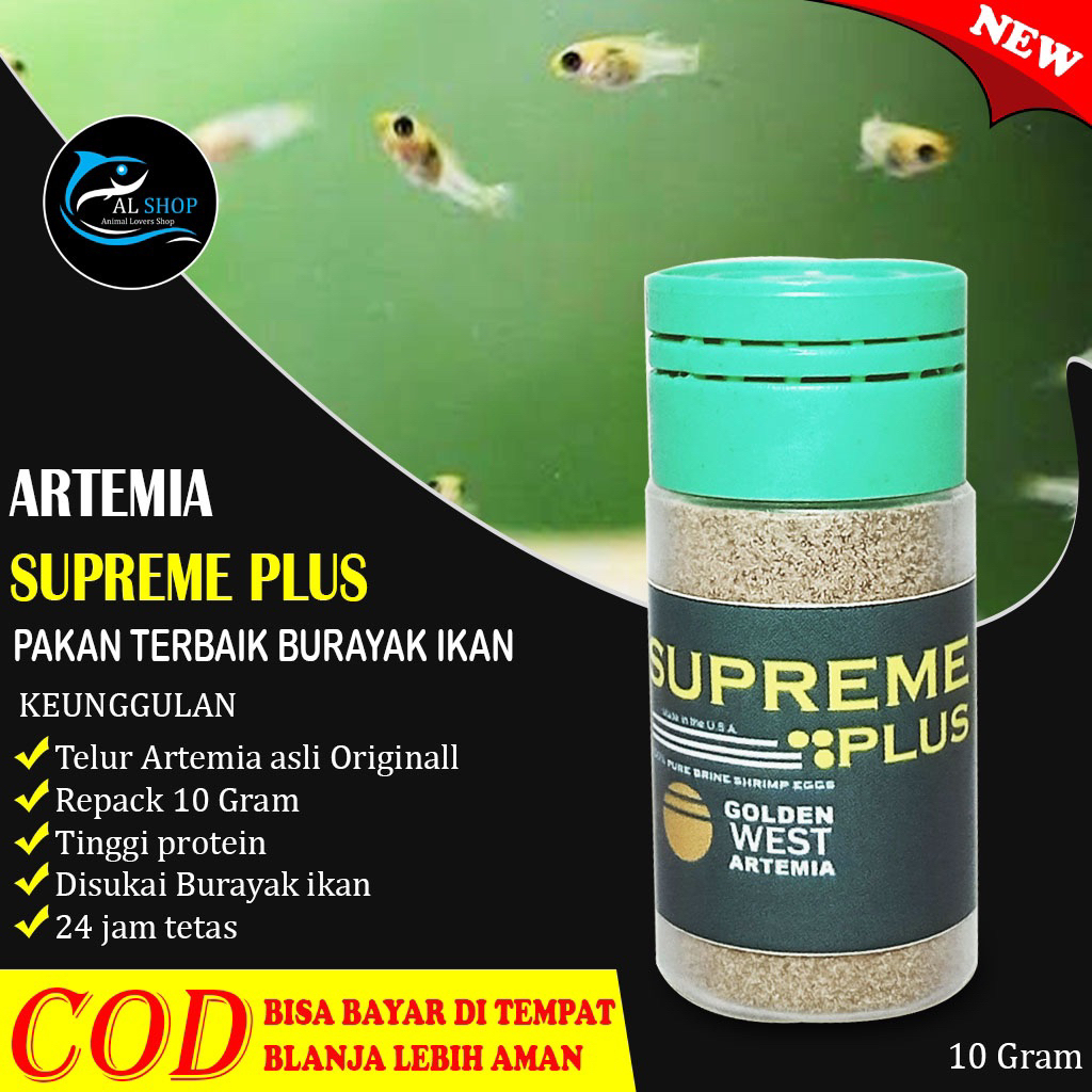 Artemia Supreme Golden Plus pakan terbaik burayak cupang dan guppy