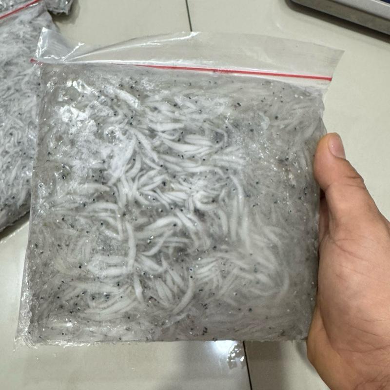 

Ikan teri basah / Teri basah Mpasi / Ikan teri basah segar fresh kemasan 500 gram