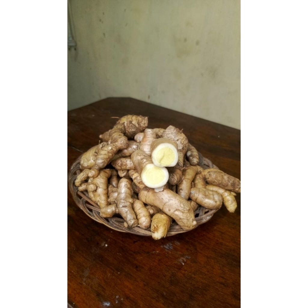 

kunyit putih segar 1kg di ambil langsung dari hutan asli organic herbal Curcuma zedoaria