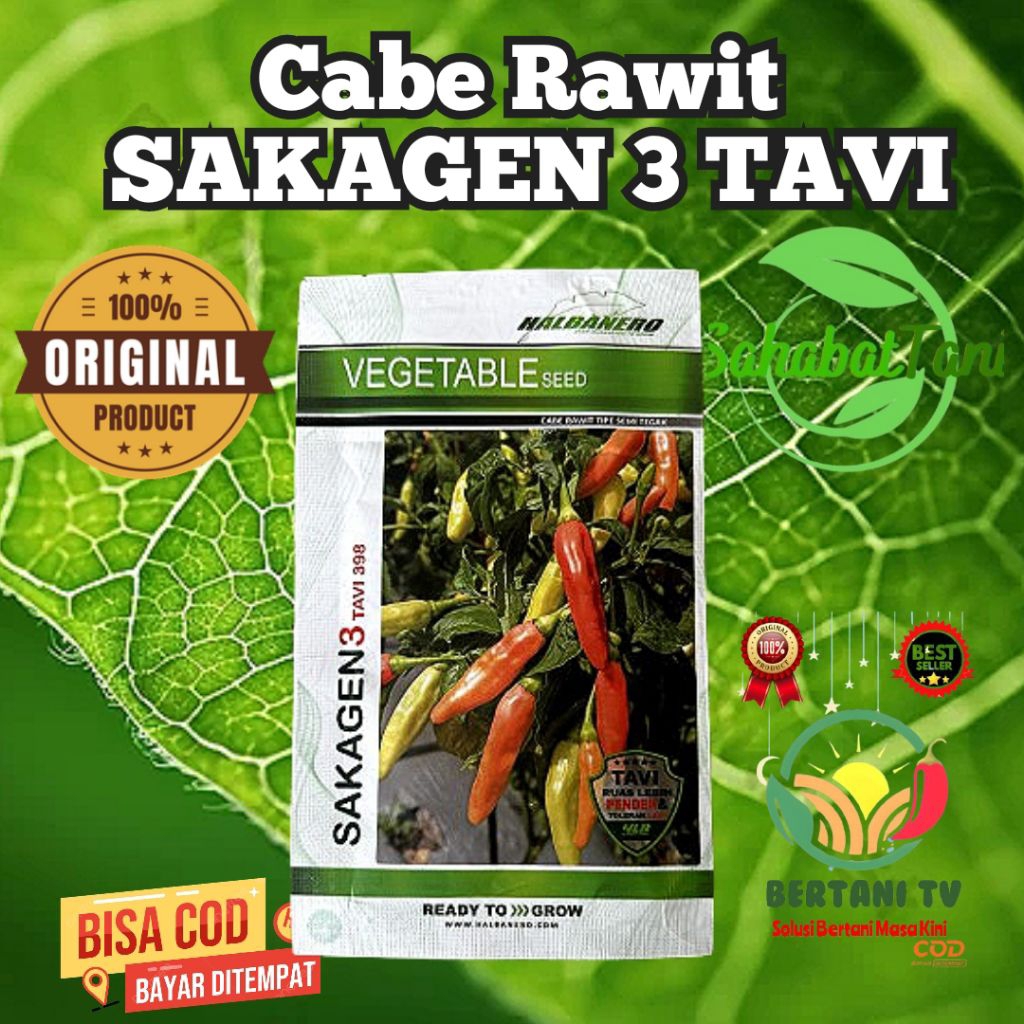 

Cabe Rawit SAKAGEN 3 TAVI 10 GR, cabe rawit terobosan terbaru yang sudah teruji kualitas terbaiknya