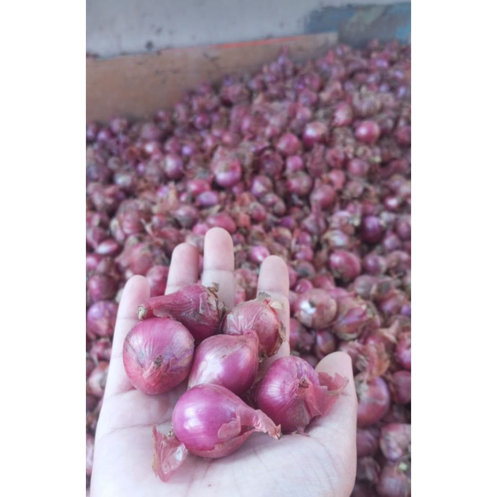 

BawangMerahFresh||1kg