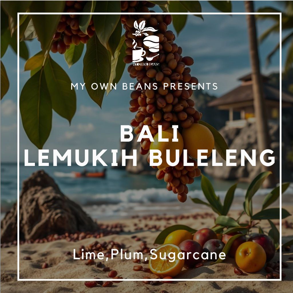 

BALI LEMUKIH BULELENG Specilaity Coffee Beans BY MY OWN BEANS