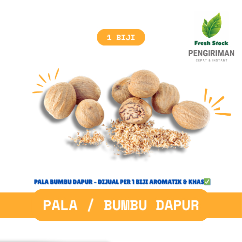 

PALA BUMMBU DAPUR | FreshStock