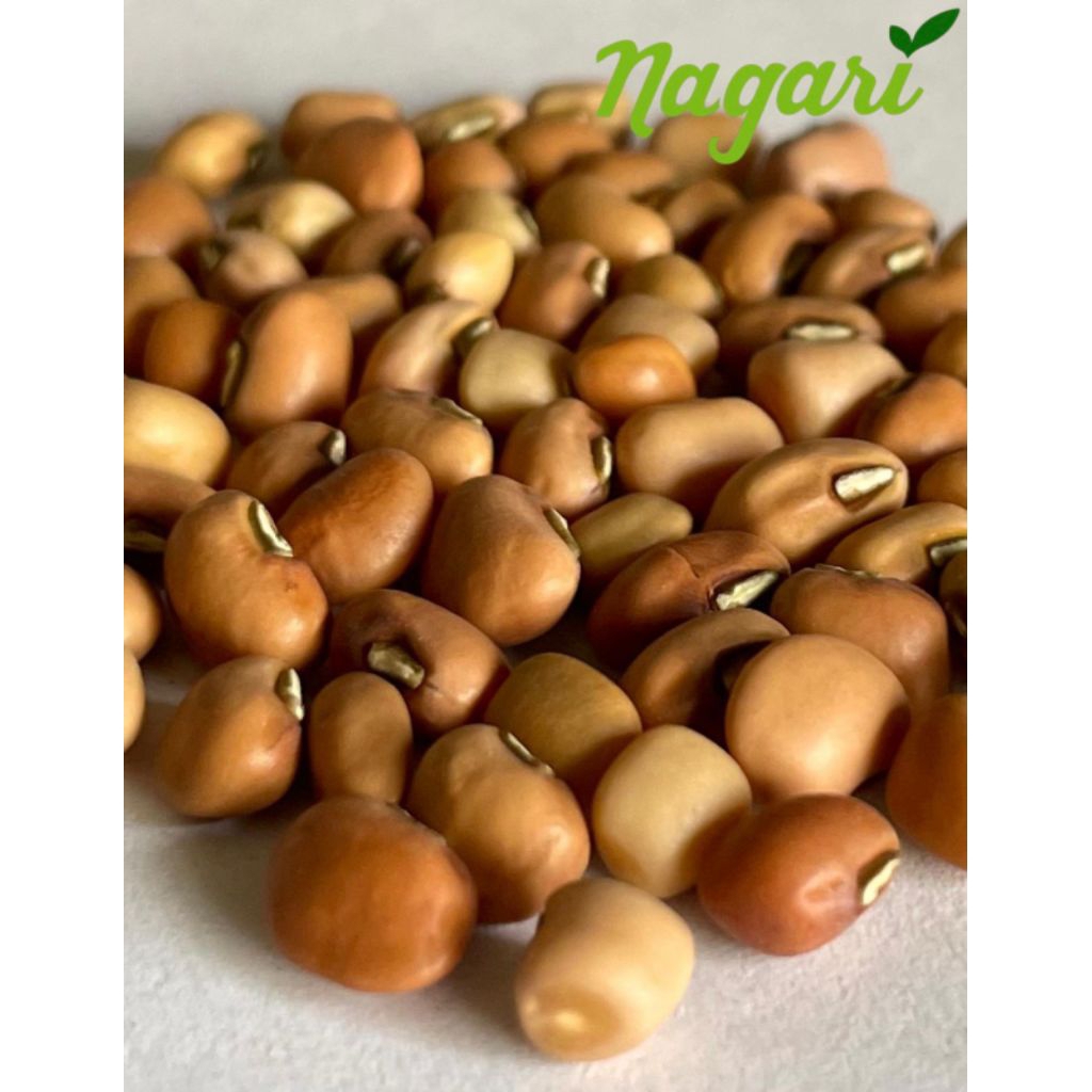 

Kacang Tolo Lokal Mentah Kering 1KG