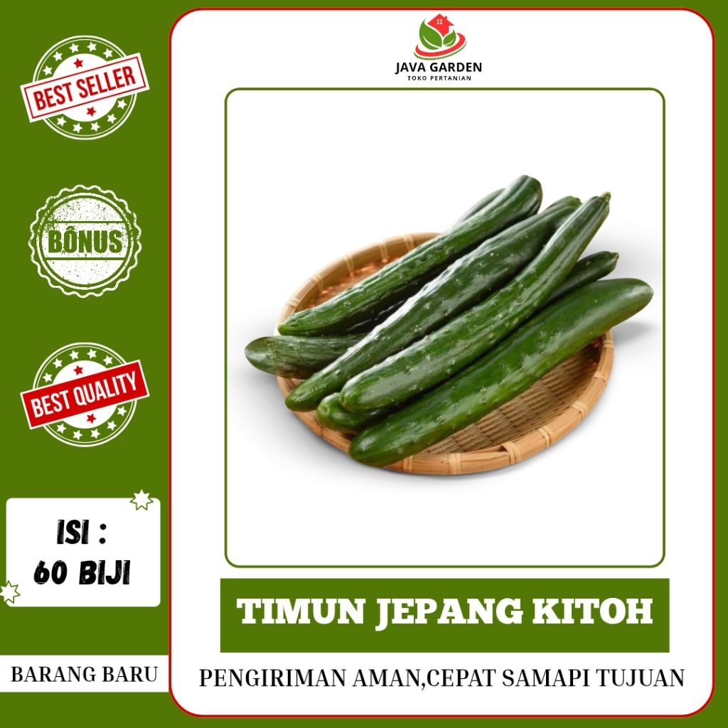 60 BIJI>BENIH BIJI TIMUN JEPANG KITOH MUDAH BERKECAMBAH