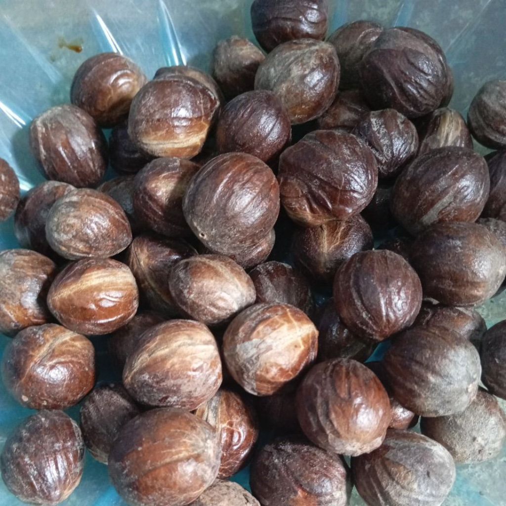 

BIJI PALA KERING UTUH