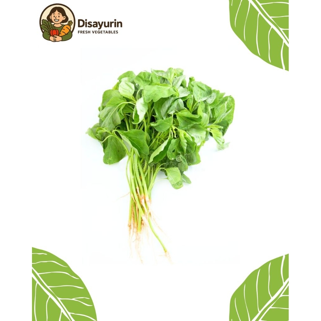 

Bayam Hijau Segar ( 1 Ikat )