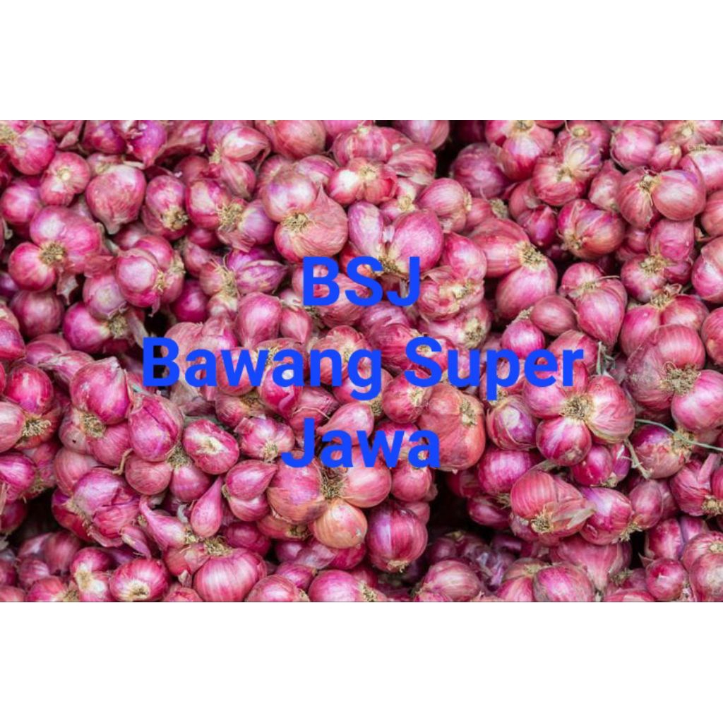 

Bawang Merah Super Kering Asli Brebes 500g