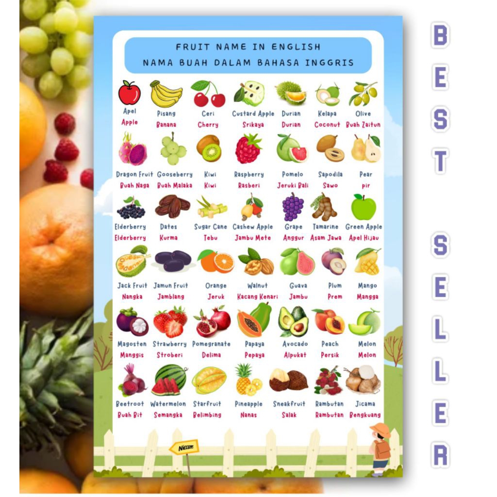 (DESAIN PREMIUM) Poster nama buah dalam bahasa Inggris. belajar mengenal macam buah