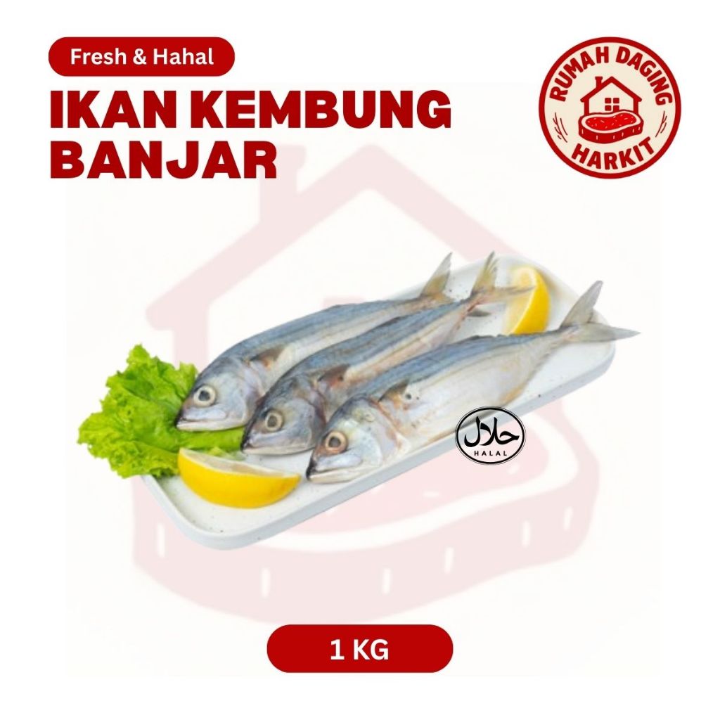 

Ikan Kembung Banjar - Ikan Kembung - Ikan Segar - Ikan Frozen 1kg