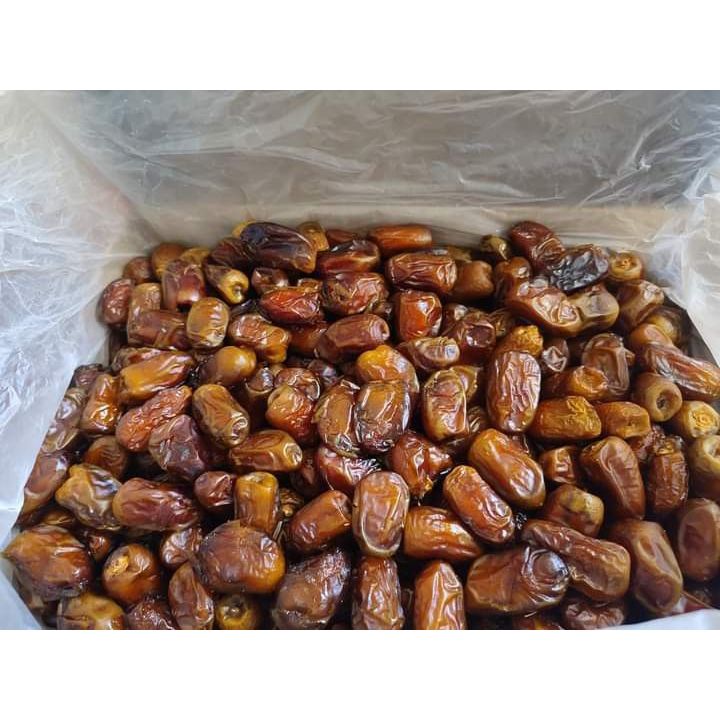 

Kurma Mesir madu kurma mesir daging tebal lembut kurma enak kurma murah kurma kualitas bagus