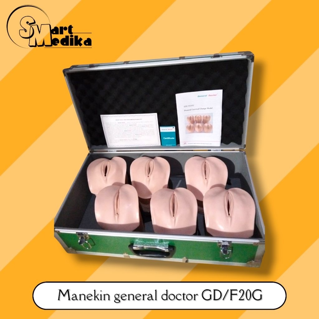 PHANTOM MANEKIN PRENATAL CERVICAL CHANGE MODEL GD/F20G GENERAL DOCTOR