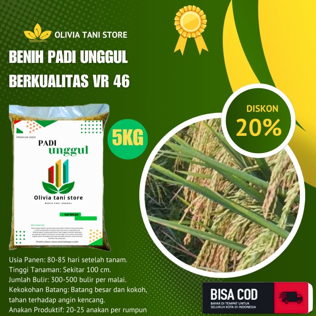 BENIH PADI UNGGUL BERKUALITAS VR 46 100% ORIGINAL