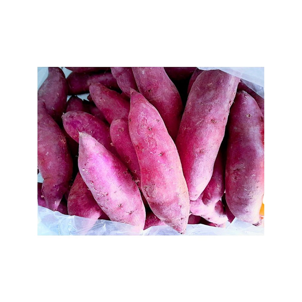 

Ubi ungu/ubi jalar ungu premium fresh 1kg