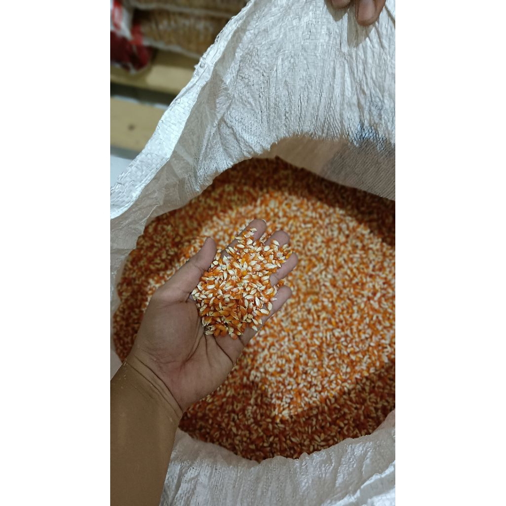 

jagung biji timun per 25kg kualitas bersih dan kering