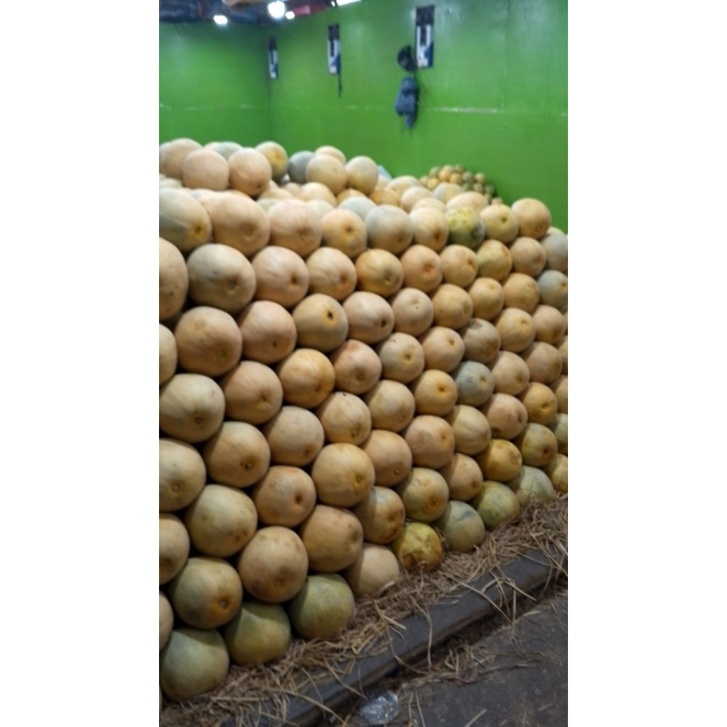 

buah melon manis(1kg/biji)