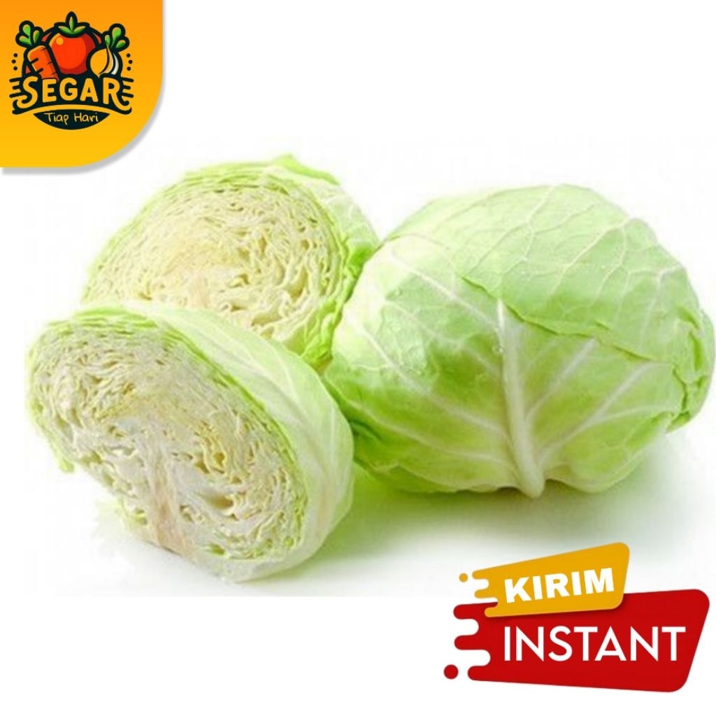 

KOL / KUBIS / KOBIS SEGAR 500GR