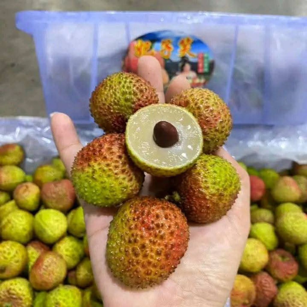 

BUAH LYCHE MADU MANIS 1kg