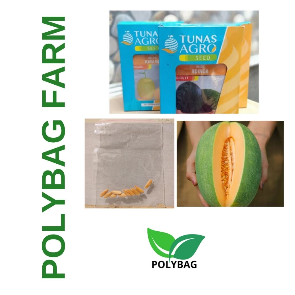 Biji Melon Adinda | Benih Melon Adinda | Bibit Melon Adinda Isi 10