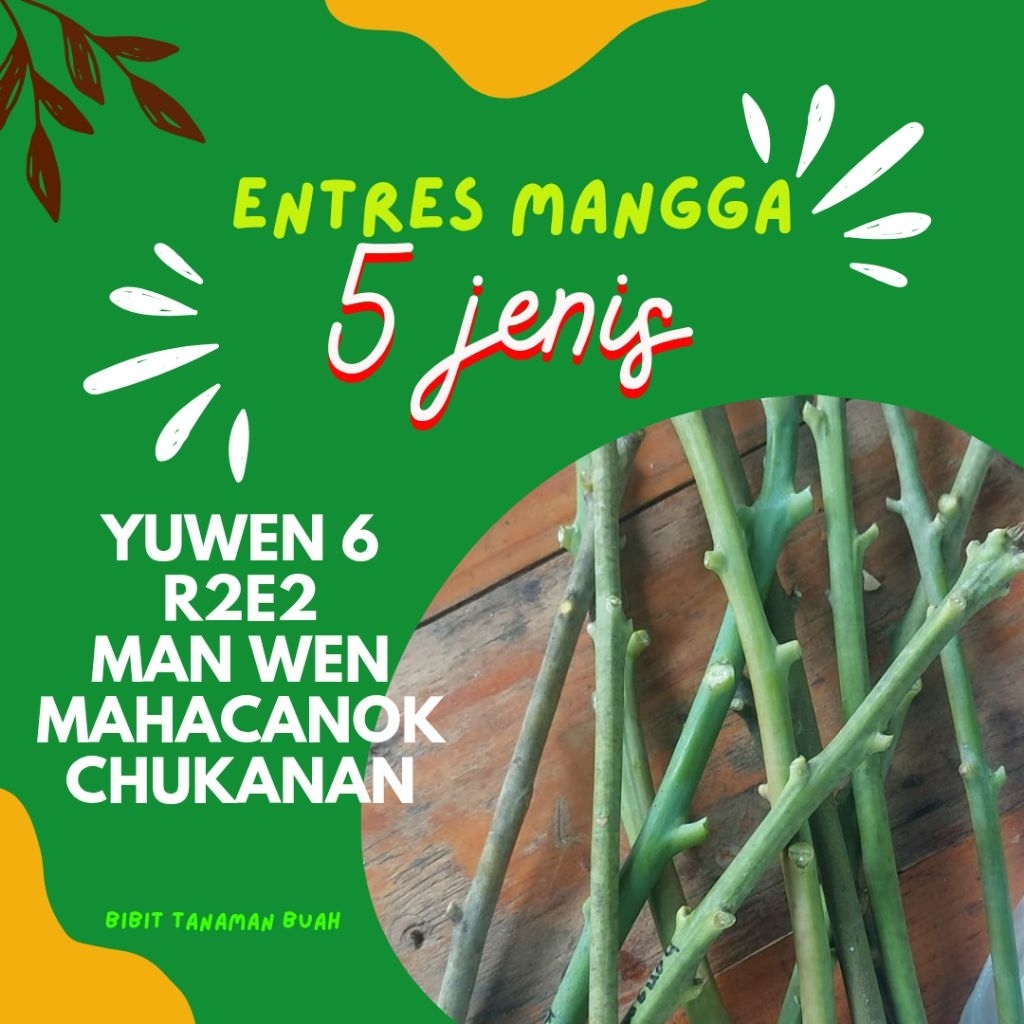 PAKET ENTRES MANGGA 5 JENIS YUWEN,R2E2,MAN WEN, MAHACANOK, CHUKANAN